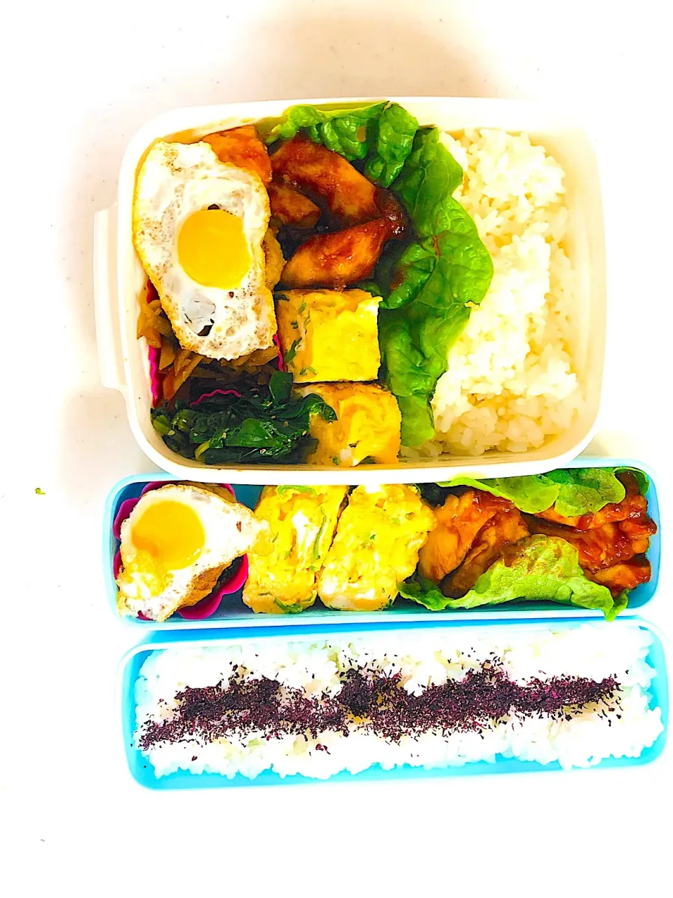 毎日のお弁当 #旦那弁当#娘弁当|momonokiさん