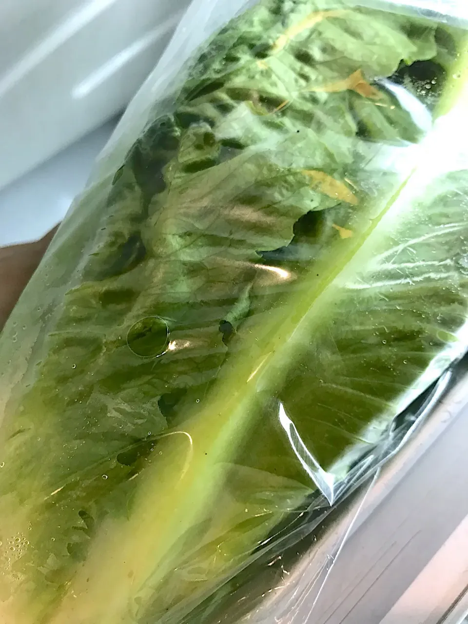 romaine lettuce|hweeyhさん