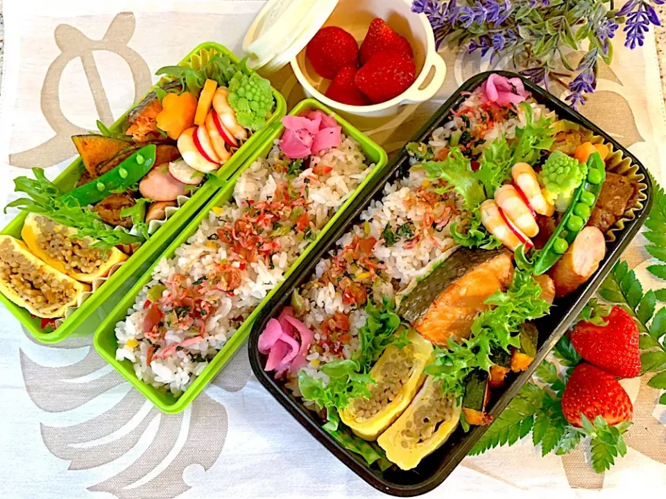 #お弁当   #男子部活弁当。姉おまけお弁当  今日のお弁当 オムそば、肉巻きポテト、紅鮭、サラダエビ、ロマネスコ、カボチャ、ウインナー、雑穀米で。金曜日頑張ろうね。|yukaさん