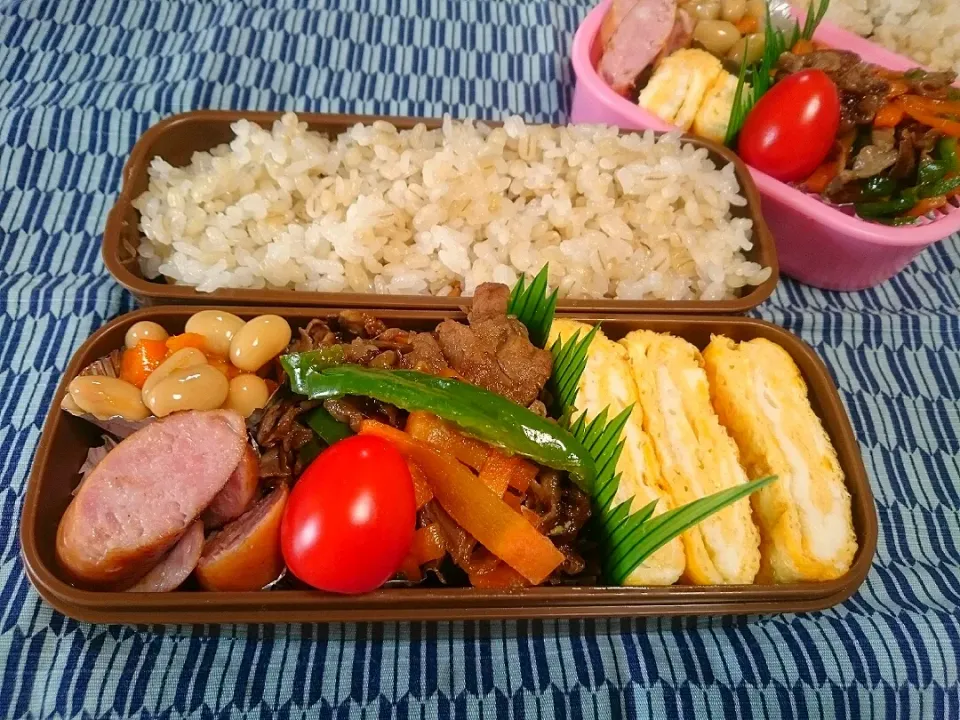 Snapdishの料理写真:☆今日のお弁当☆  パパのお弁当作り始めました。|hamamaさん