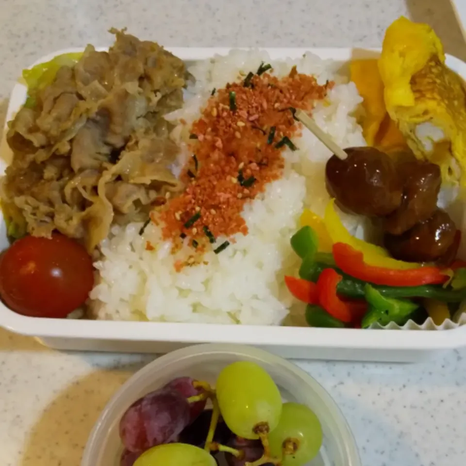 今日の息子のお弁当🍱|けーこさん