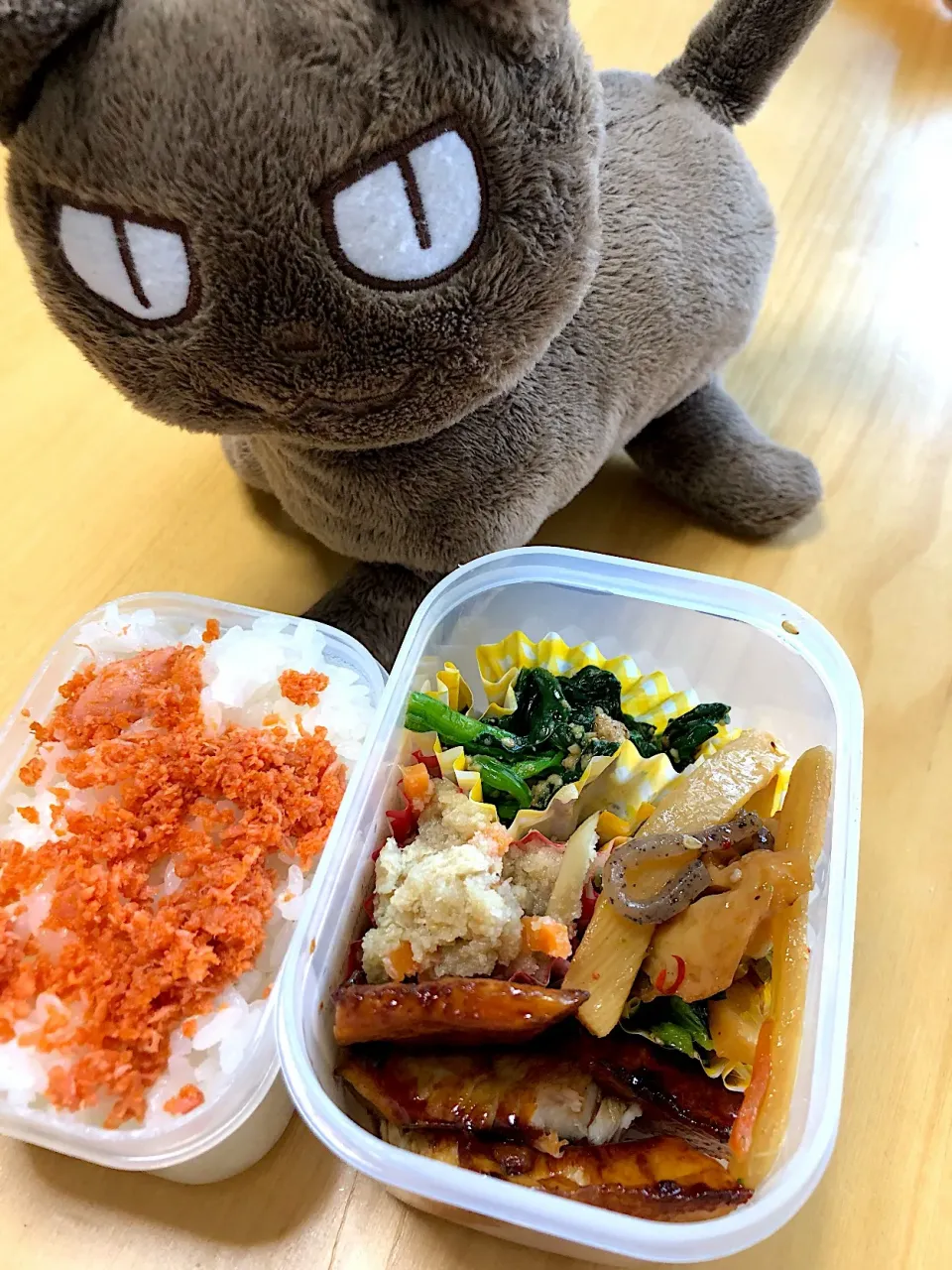 Snapdishの料理写真:マンダイ照り焼き ほうれん草胡麻和え たけのこの五目きんぴら おからの炒り煮弁当|Kumiko Kimuraさん