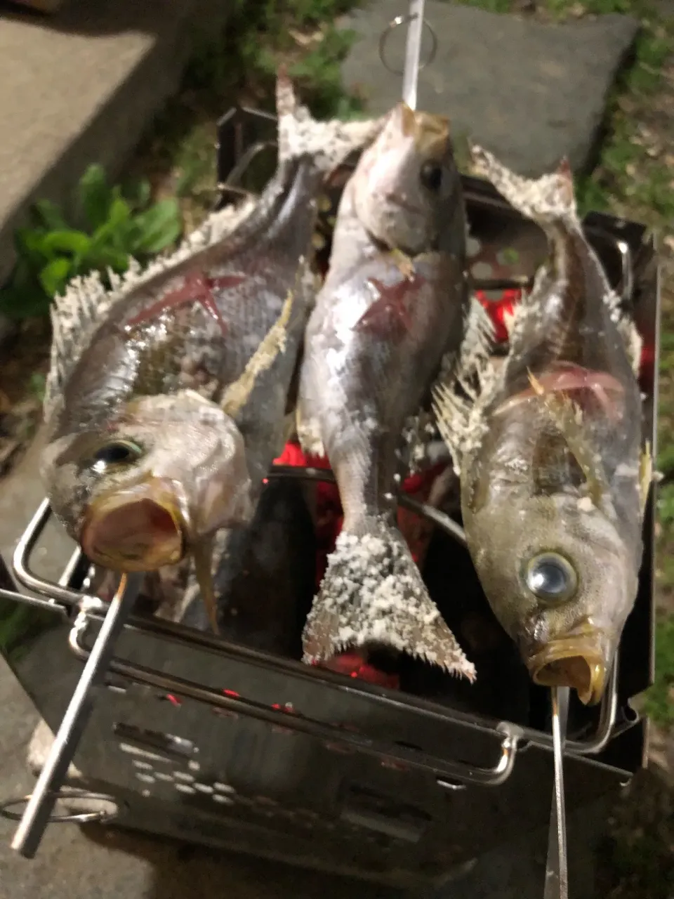 備長炭で釣りたてイサキの塩焼き♪|ちーちさん