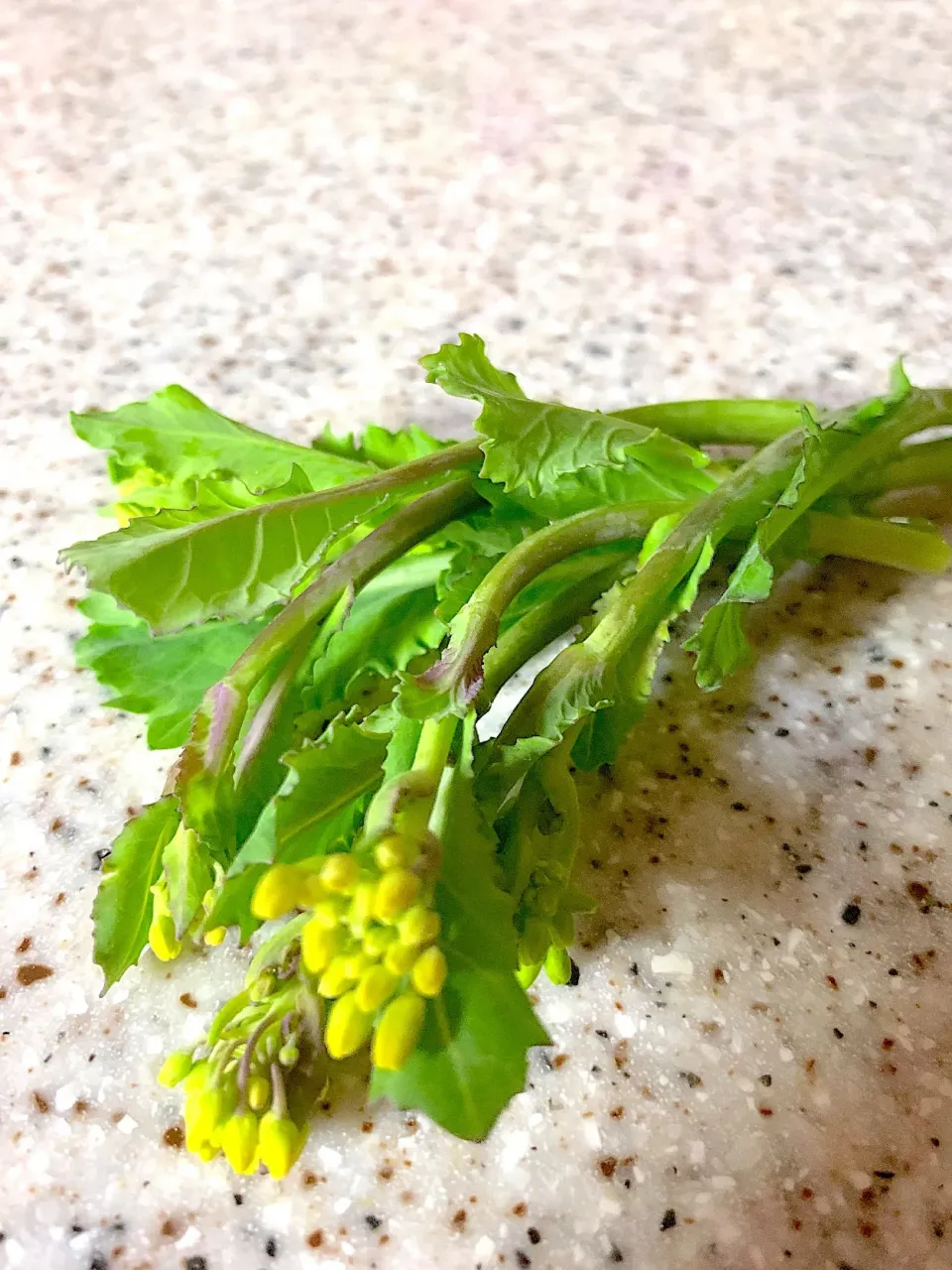 かき菜。
初めての食材。さっと茹でてみた。
サラダにトッピング🥗かけるビネガーで美味しいかった🥗|yukaさん