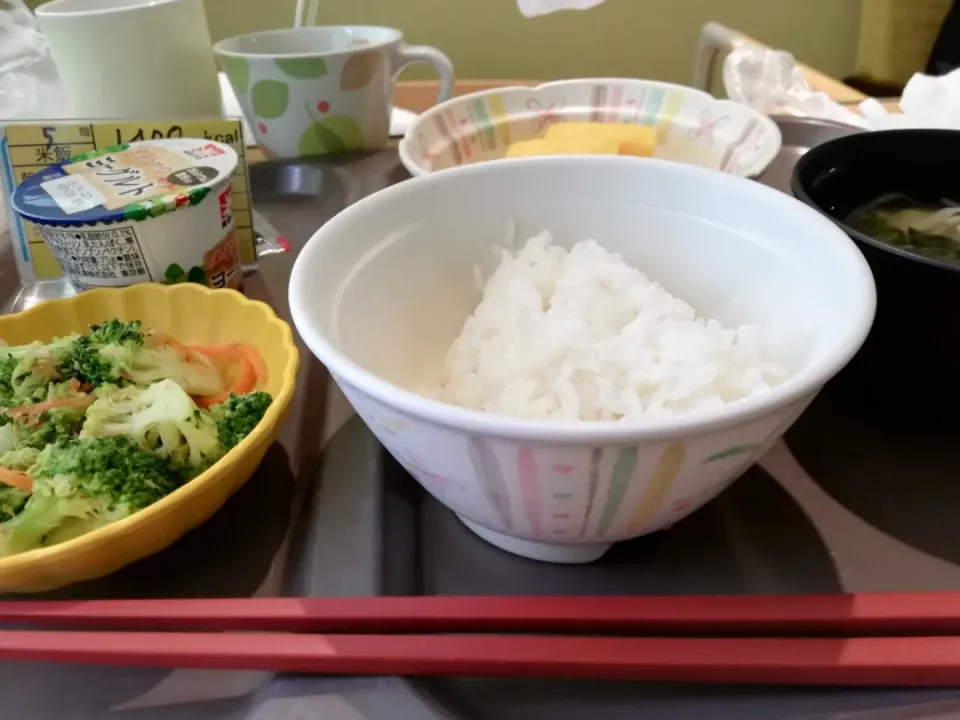 2019/4/20
 病院食朝食|たえさん