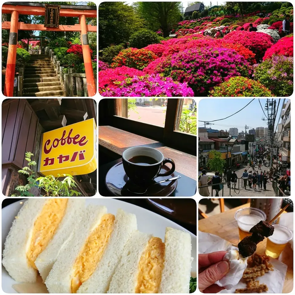 つつじまつり～八根千お散歩食べ歩き🚶|とまと🍅さん