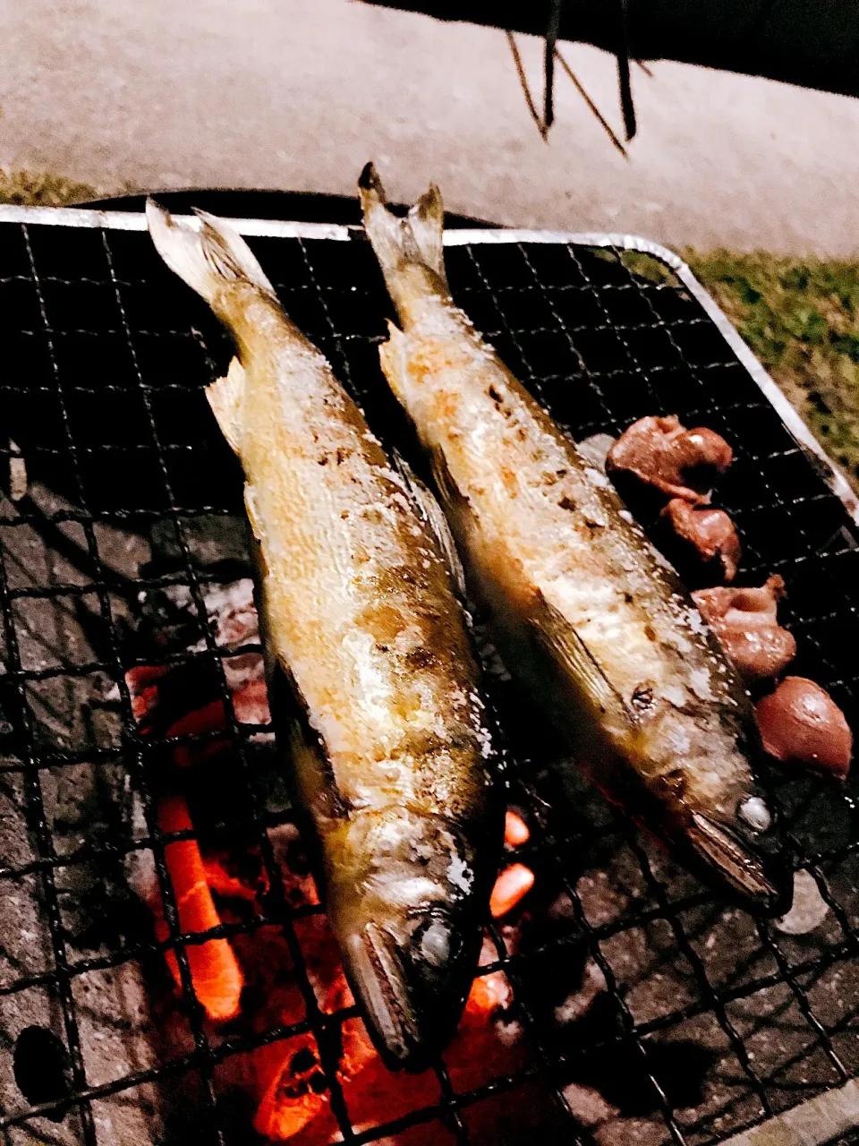 Snapdishの料理写真:落ち鮎    七輪焼き😋|わーすーさん