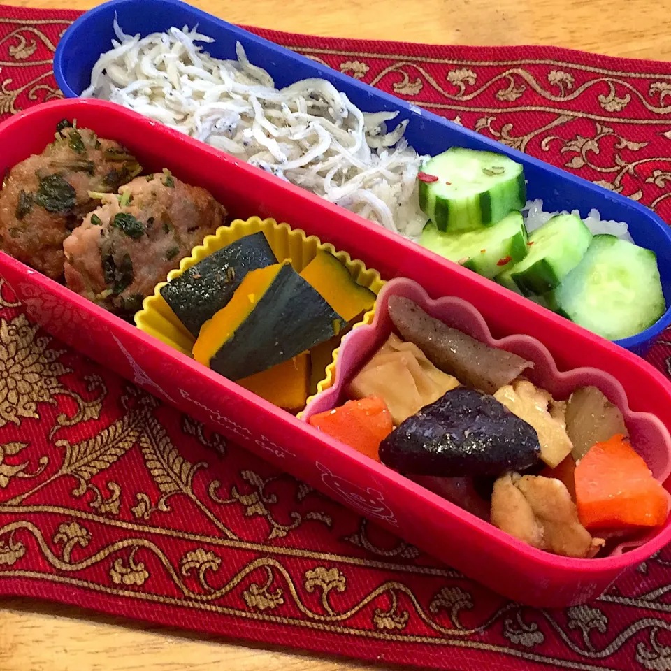 豆苗ハンバーグと、南瓜の煮物と、筑前煮と、釜揚げしらすご飯弁当|もえさん