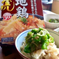 Snapdishの料理写真:ドキドキ✨地鶏釜飯。 #ヤマモリ釜めしの素  #ヤマモリさんの地鶏釜めしの素で|＊チッチ＊さん