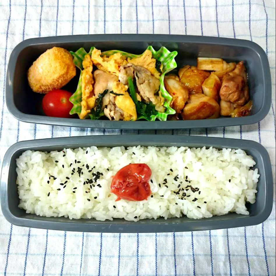 Snapdishの料理写真:鶏照り焼き＆豚たまご炒めのお弁当|jun(・x・)さん