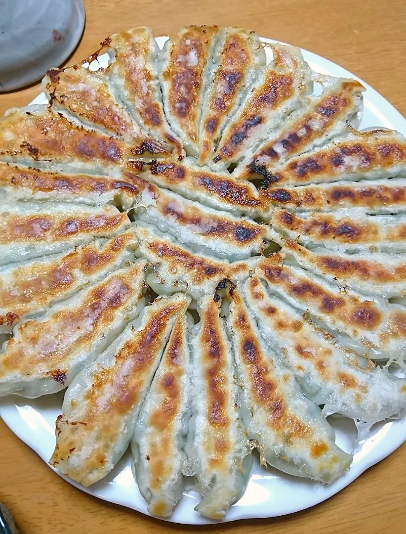 平成31年4月22日(月)餃子焼いた❗|しまだ ちえこさん