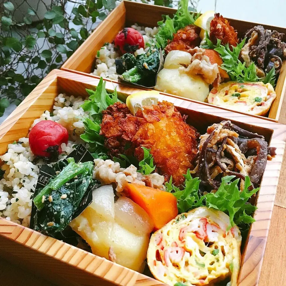 Snapdishの料理写真:2019.04.23 家族のお弁当|＊emio＊さん