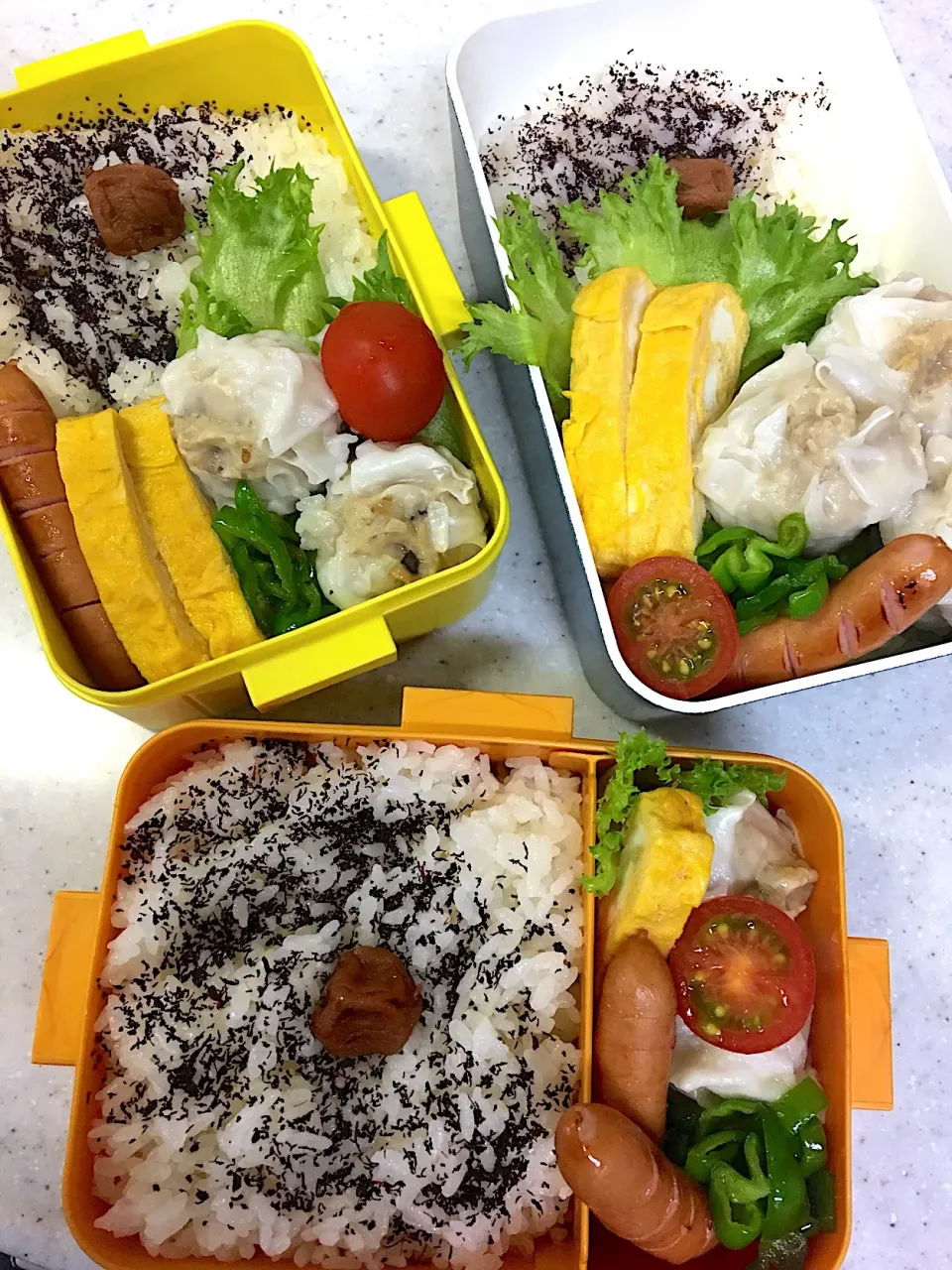 #中学女子弁当  #父ちゃん弁当 #シュウマイ|よちこさん