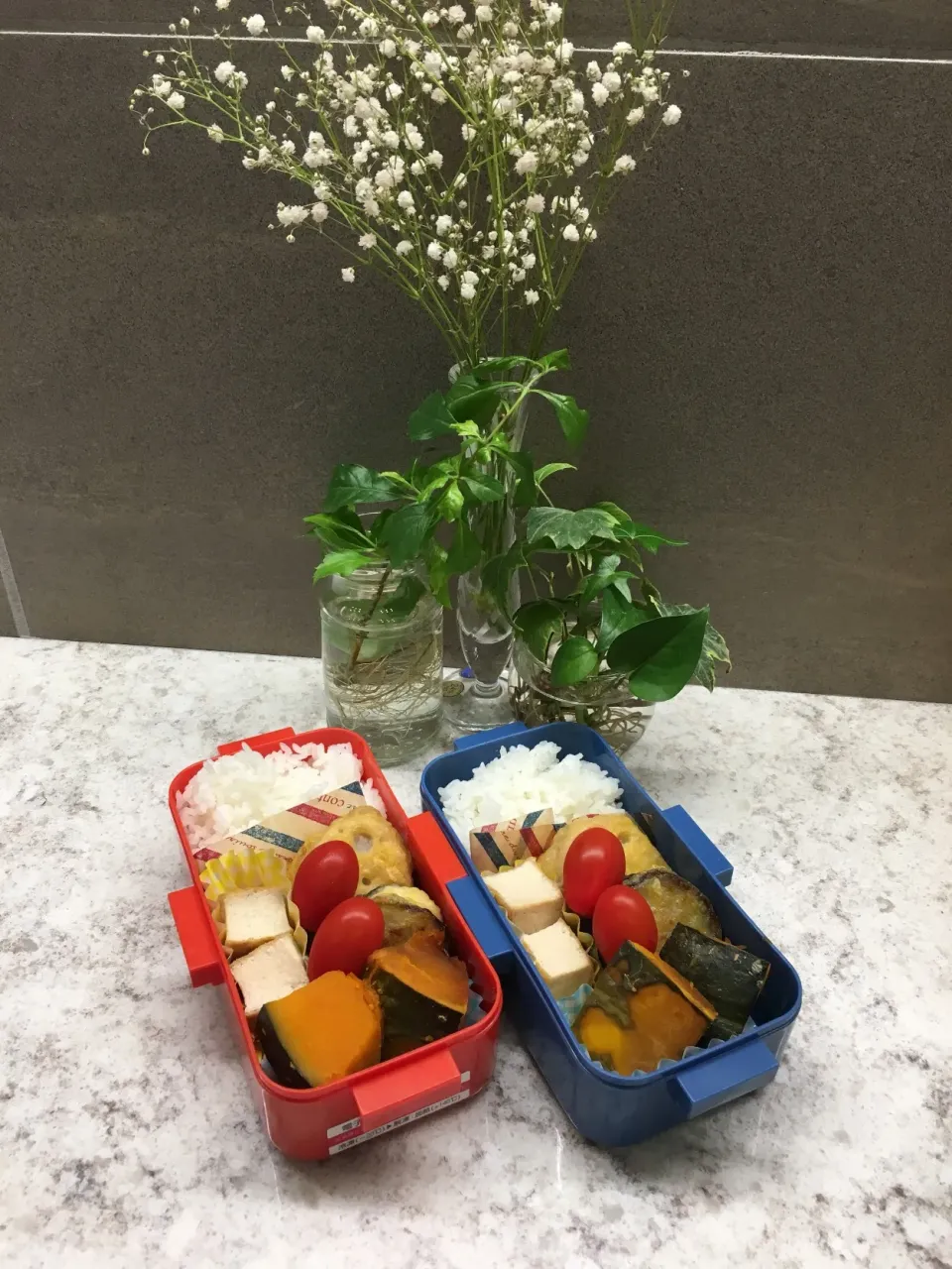 2019/4/24大一長女弁＆高一次女弁|あくびママさん