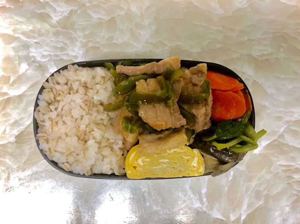 今日のお弁当4/25|としぼーさん