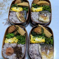 Snapdishの料理写真:今日のお弁当🍱|ボスママさん