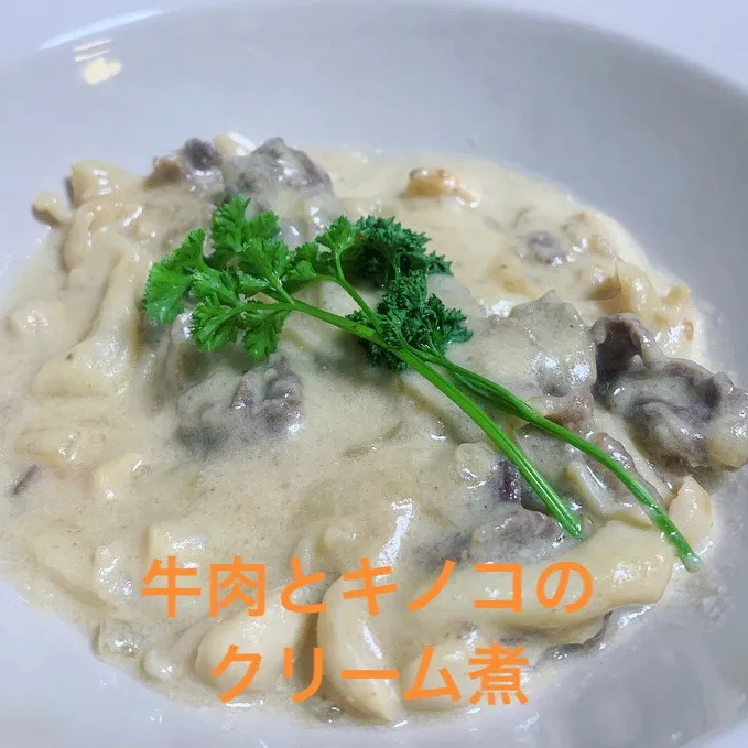 牛肉とキノコのクリーム煮#牛肉とキノコのクリーム煮#牛肉#キノコ#ブナシメジ#ホワイトソース|sirohigepokoさん