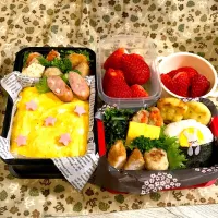 娘遠足予備日&中2息子給食休みでお弁当🍱|みあとのさん