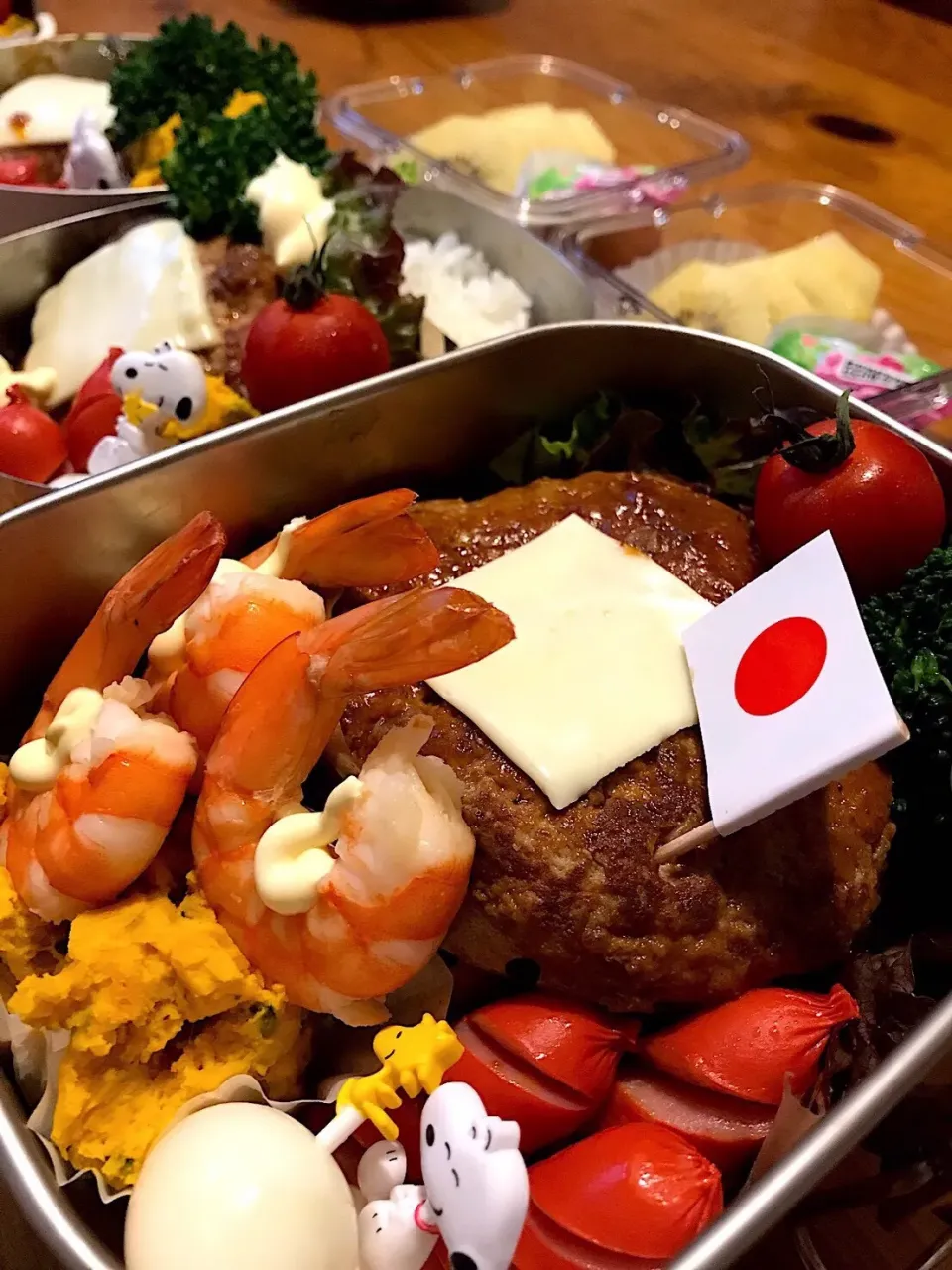 今日のお弁当🍙
日の丸 どーんとドデカ ハンバーグ弁当|サダさん