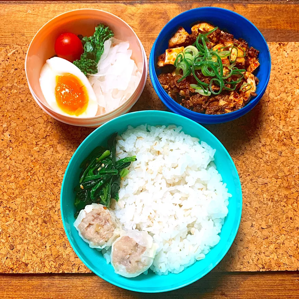 【お弁当】麻婆豆腐(丼)と崎陽軒のシウマイ|ぽりんさんさん