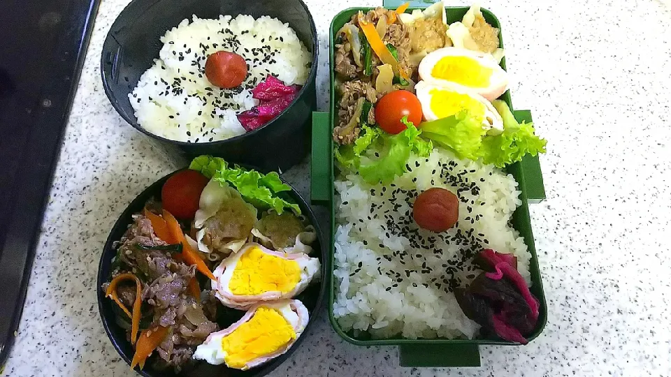 Snapdishの料理写真:夫 父 弁当|かねしろ食堂さん