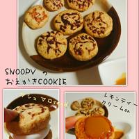 富士子さんのおえかきクッキー