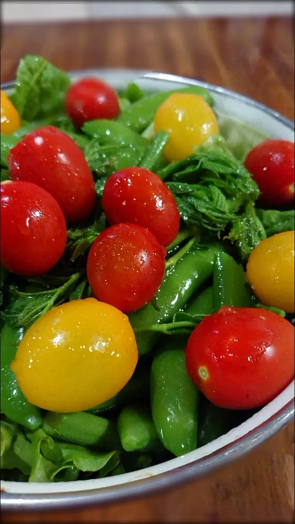 たらの芽とミニトマトのサラダ🥗|メイメイda.さん