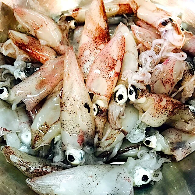 小イカ
新鮮 ーー🦑 刺身で食べよう|あお♡あおさん