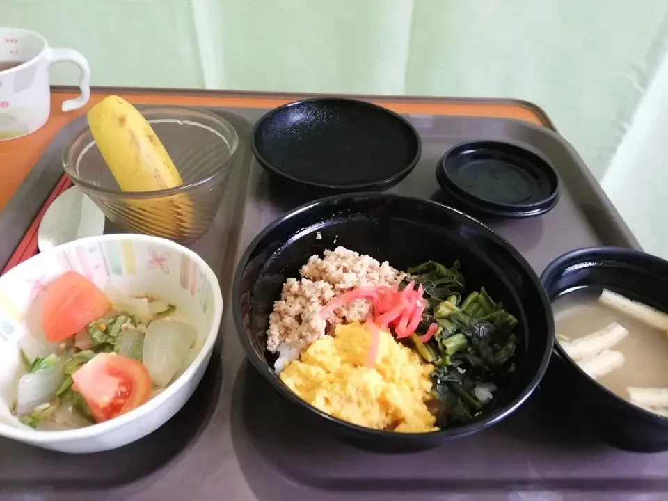 病院食昼食
三色丼でちょっと回復🤩|たえさん