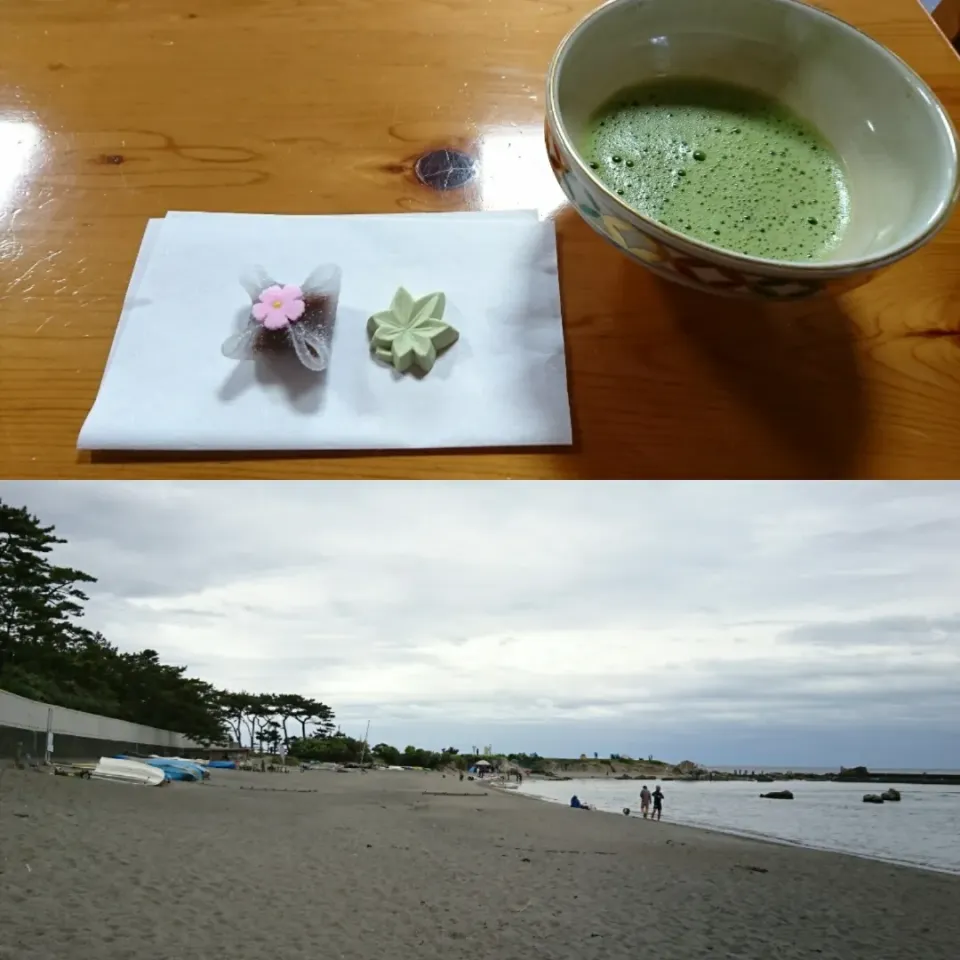 平成31年4月29日葉山しおさい公園🍵|しまだ ちえこさん