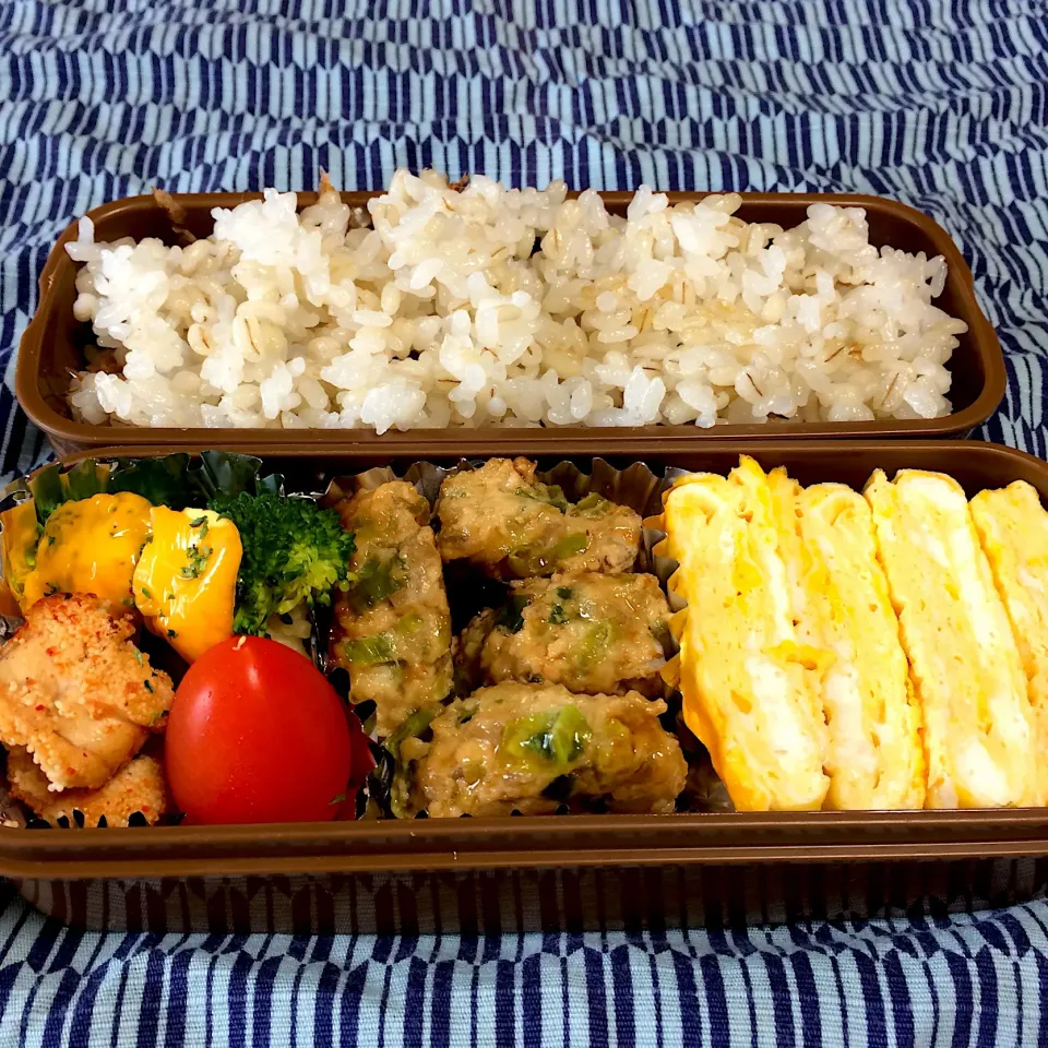 ☆今日のお弁当☆  パパのお弁当作り始めました。|hamamaさん