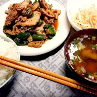 鳥むね肉とピーマンとレンコンの炒めもの|けけさん