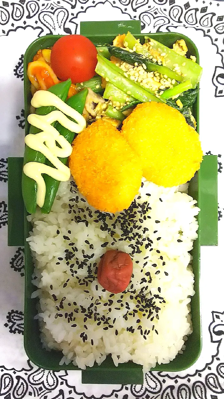 Snapdishの料理写真:夫 お弁当|かねしろ食堂さん