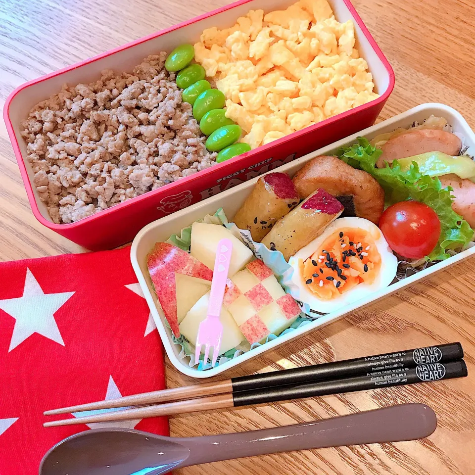 Snapdishの料理写真:JK そぼろ丼弁当|MIKIさん