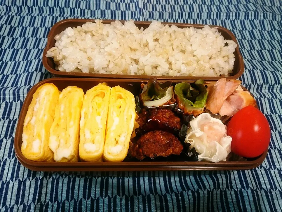 ☆今日のお弁当☆  パパのお弁当作り始めました。|hamamaさん