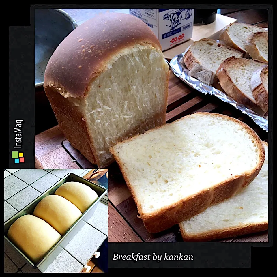 ヨーグルト酵母で山食🙌🍞|カンカンさん