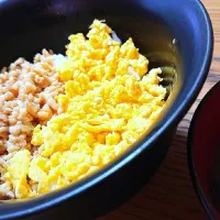 Snapdishの料理写真:鶏そぼろ丼|美穂さん