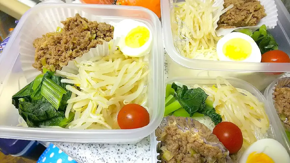 夫 息子 娘 お弁当|かねしろ食堂さん