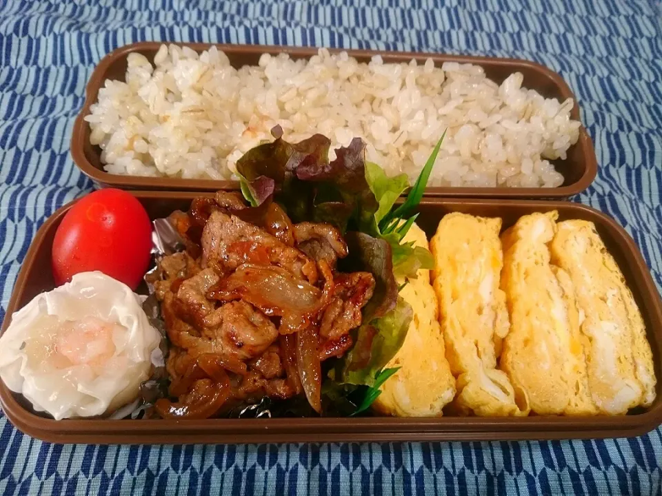 Snapdishの料理写真:☆今日のお弁当☆  パパのお弁当作り始めました。|hamamaさん