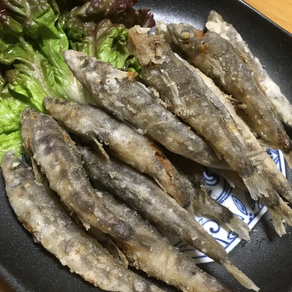 Snapdishの料理写真:目光と書いてメヒカリと読む
宮城県産メヒカリの唐揚げ🐟
2019.5.3|Yu Yu mamaさん