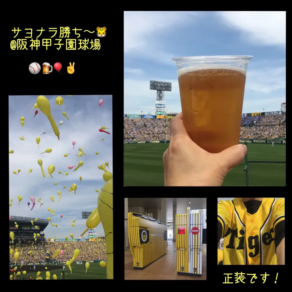 阪神甲子園球場で観戦ビール⚾️🍺✌️|izoomさん