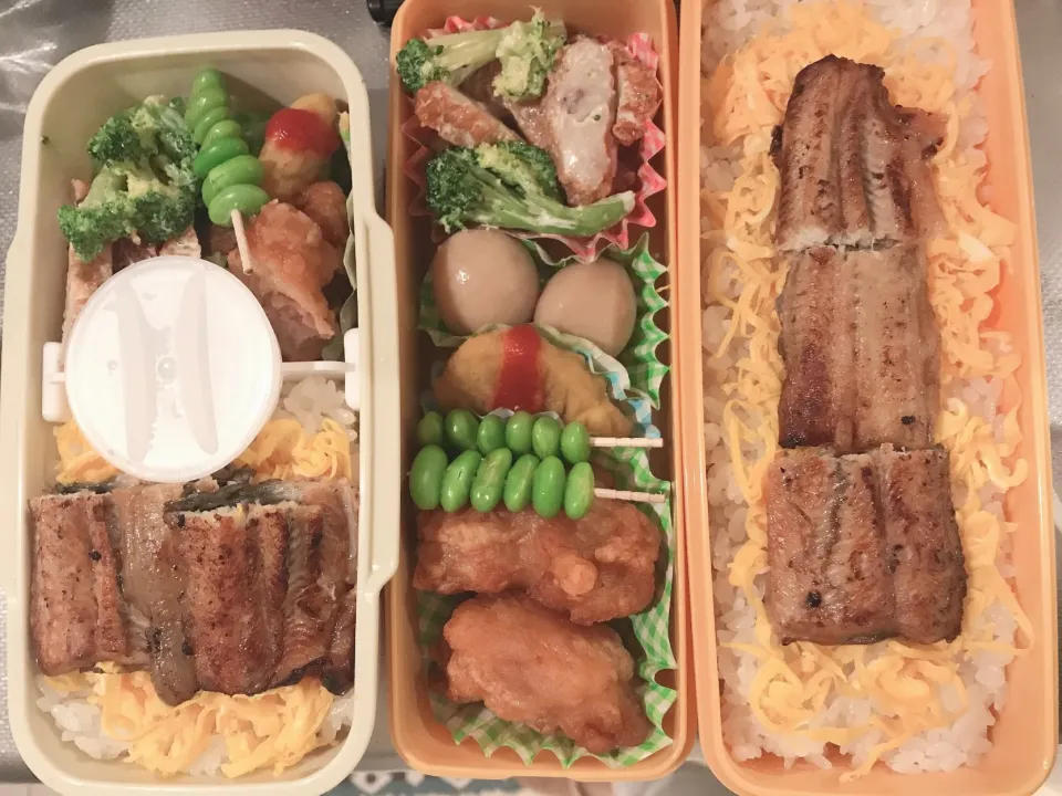 5/3 お弁当|y_ponさん