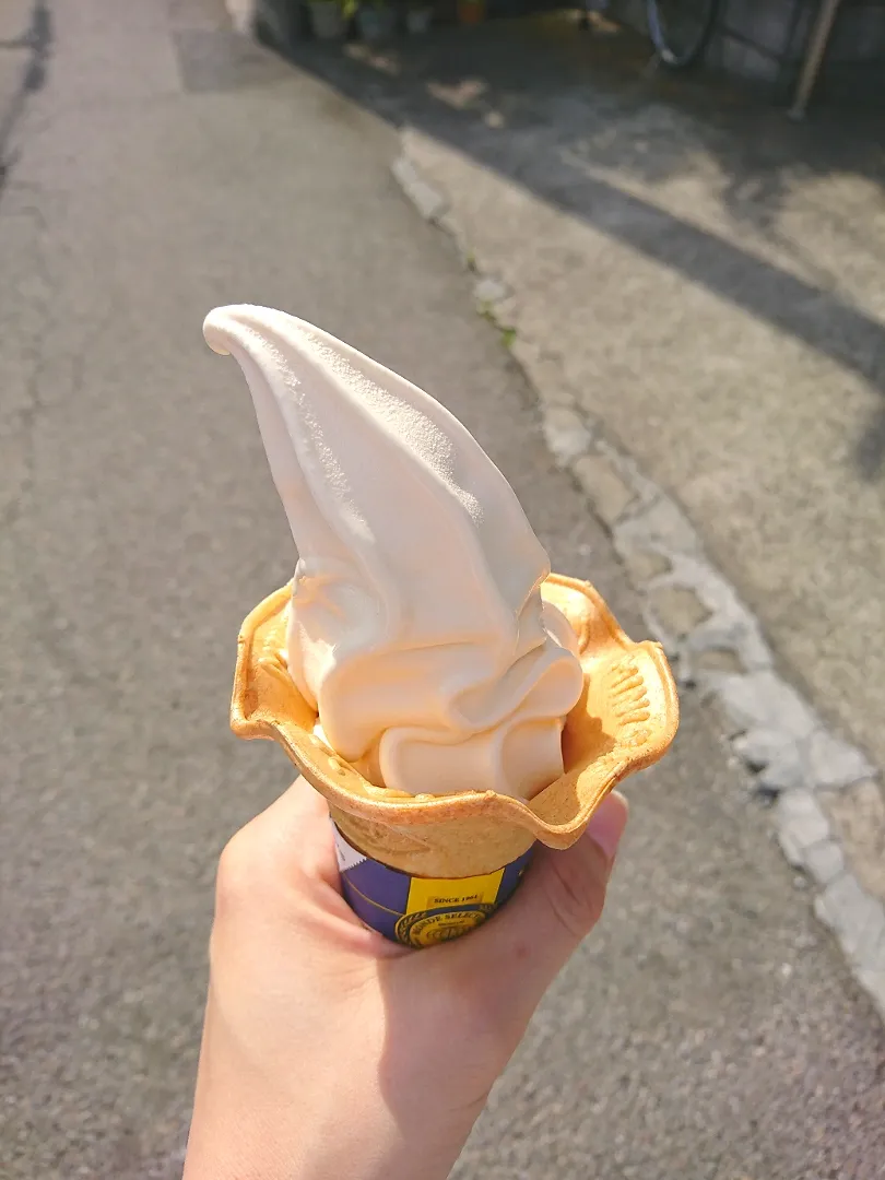 ミニストップ🍦ソフトクリーム😋|pinknari🐰🌈さん