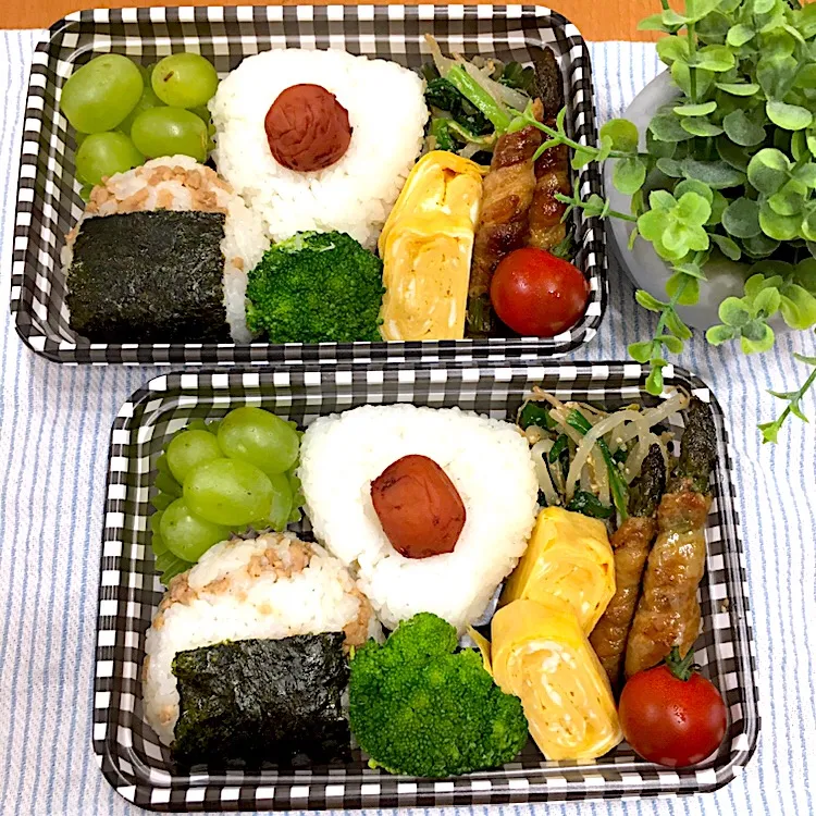 Snapdishの料理写真:#ピクニック弁当  🍱🌳 そぼろと梅干しのおにぎり アスパラの豚バラ巻き もやしとニラのお浸し 卵焼き|まいまいさん