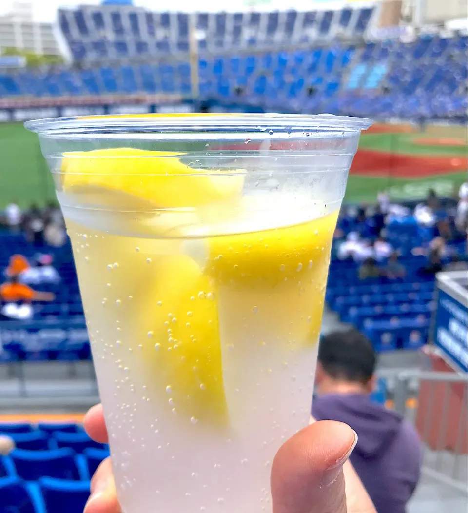 横浜スタジアム🏟 名物レモンサワーは冷凍レモン丸1個入り。|シュトママさん