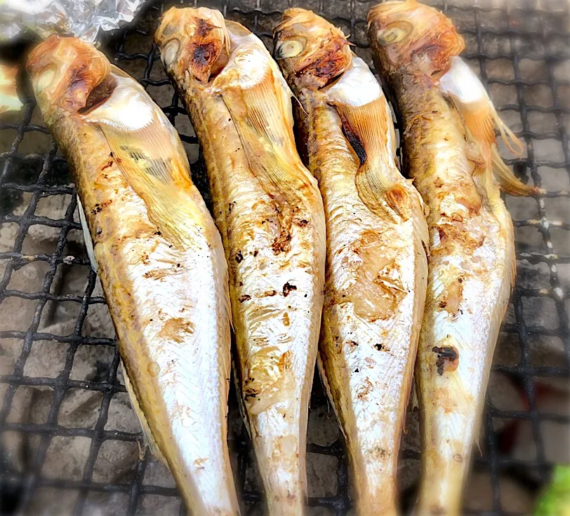 はたはた 焼きます|じゅんさんさん