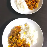 Snapdishの料理写真:タニタ風手作りカレー|美南光さん