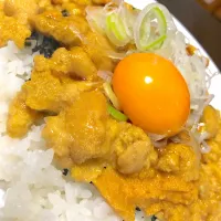 ウニ丼|ゆーさん