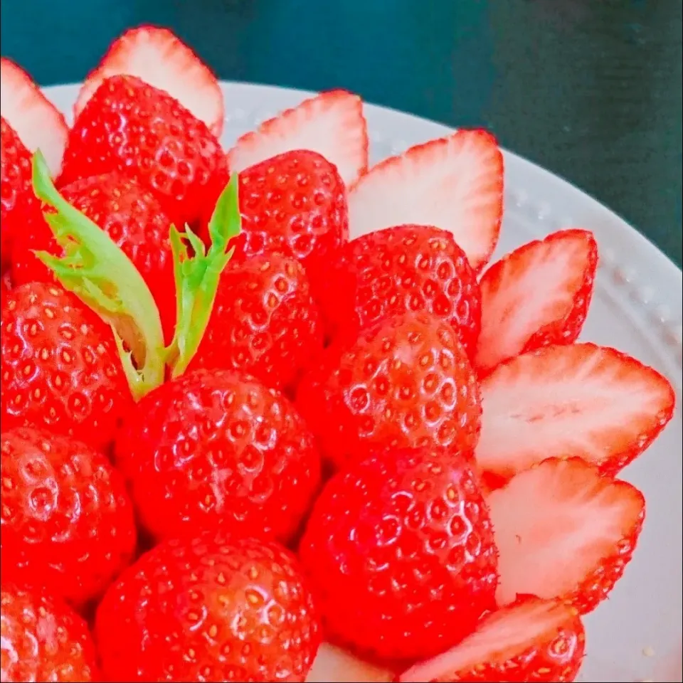 いちごタルト🍓|bobbinさん