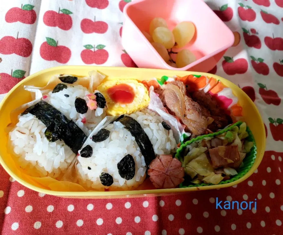 Snapdishの料理写真:幼稚園弁当　娘リクエストのパンダ🐼|かのりさん